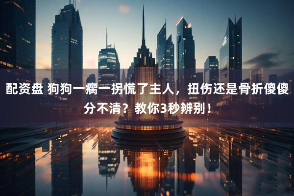 配资盘 狗狗一瘸一拐慌了主人，扭伤还是骨折傻傻分不清？教你3秒辨别！