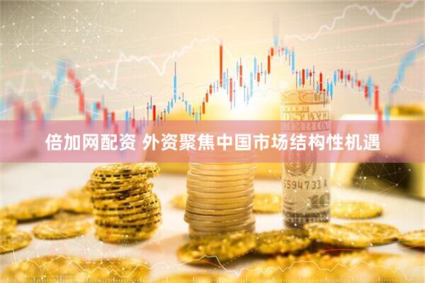 倍加网配资 外资聚焦中国市场结构性机遇