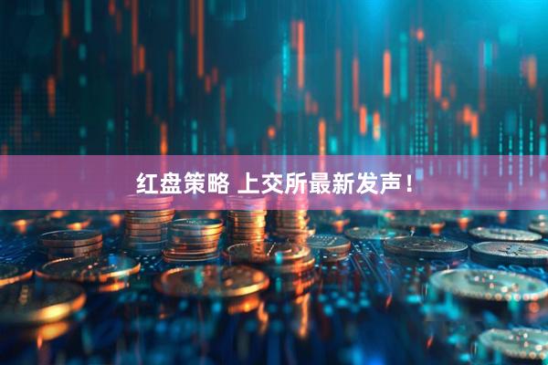 红盘策略 上交所最新发声！