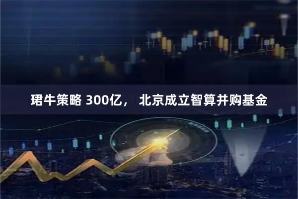 珺牛策略 300亿， 北京成立智算并购基金