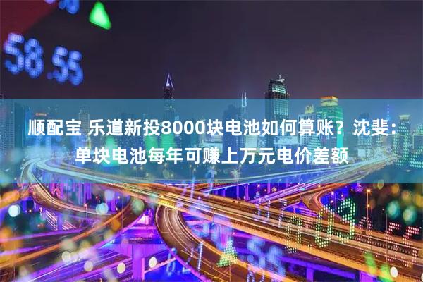 顺配宝 乐道新投8000块电池如何算账？沈斐：单块电池每年可赚上万元电价差额